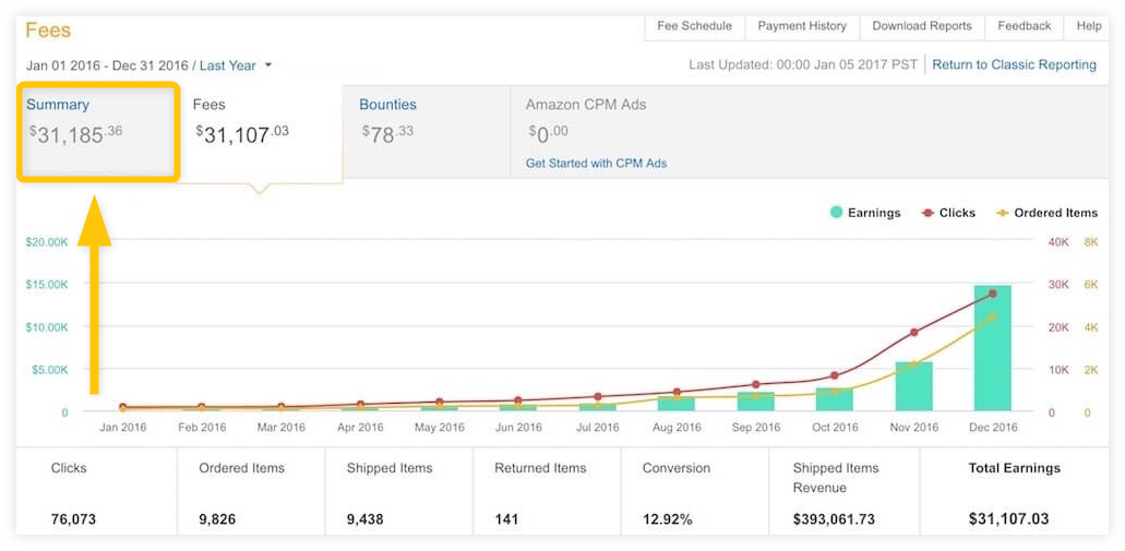 Earnings summary in Google Analytics